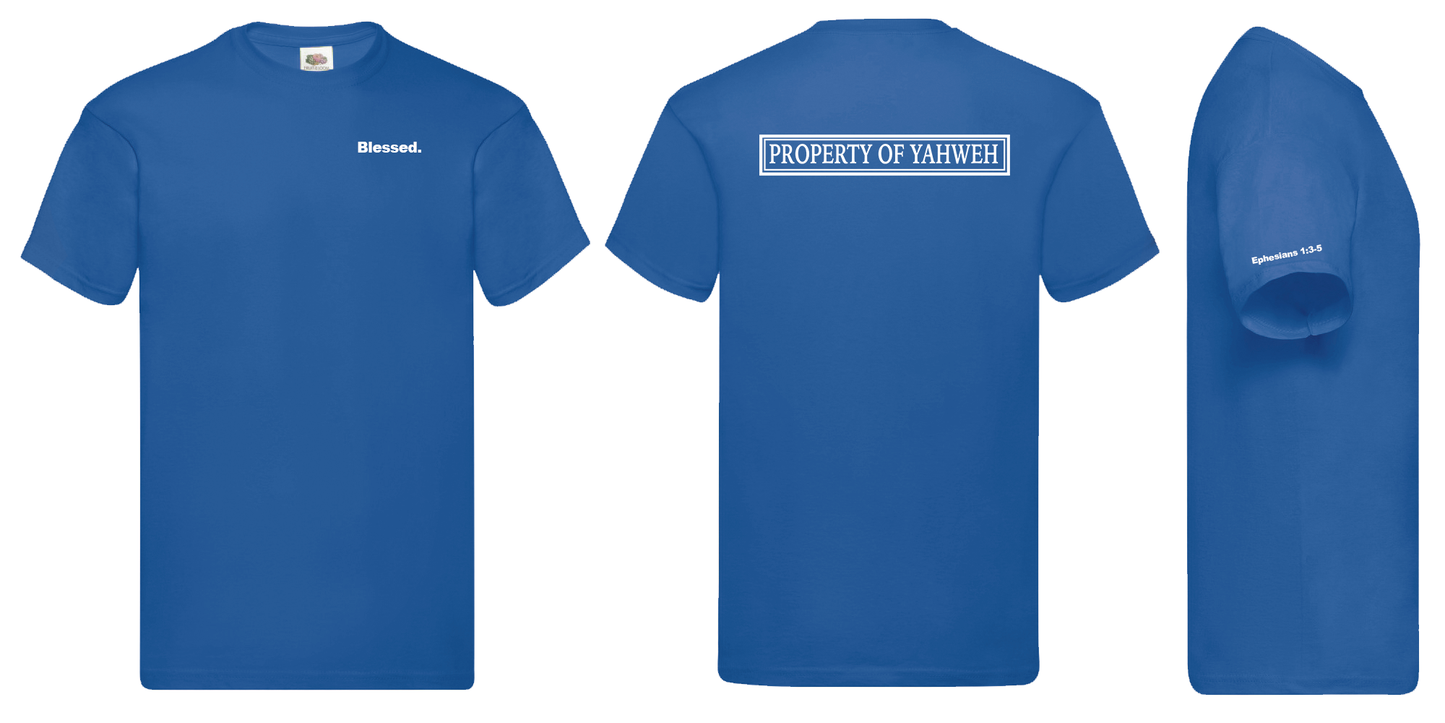 Tshirt BLESSED