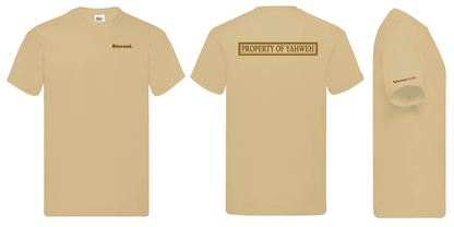 Tshirt BLESSED